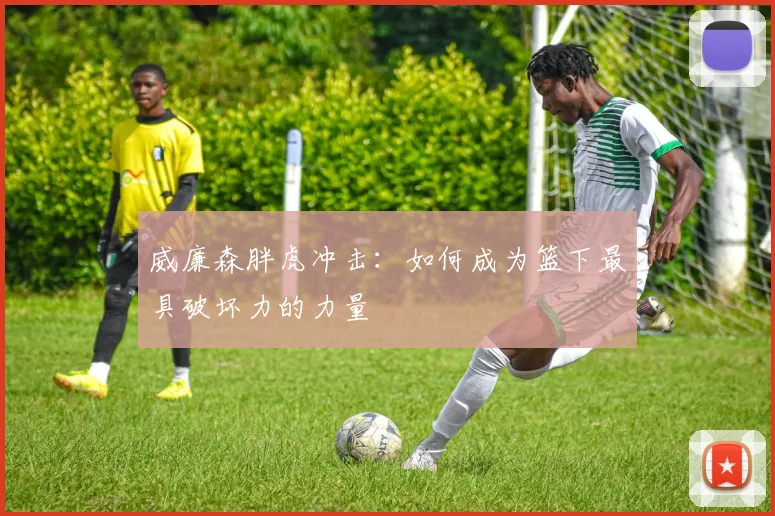 威廉森胖虎冲击：如何成为篮下最具破坏力的力量
