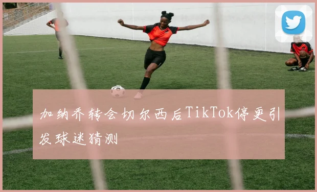 加纳乔转会切尔西后TikTok停更引发球迷猜测